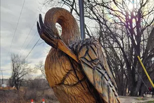 924 Larch Dr, Windsor, CO 80550 - Photo 32