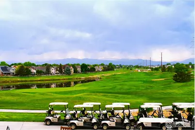 804 Summer Hawk Dr #9105, Longmont, CO 80504 - Photo 28