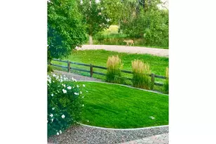 315 Meadowsweet Cir, Loveland, CO 80537 - Photo 42