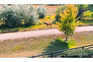 315 Meadowsweet Cir, Loveland, CO 80537 - Photo 50