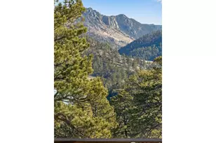 434 Caddo Rd, Red Feather Lakes, CO 80545 - Photo 42