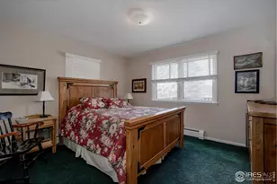 1026 Lexington Ln, Estes Park, CO 80517 - Photo 22