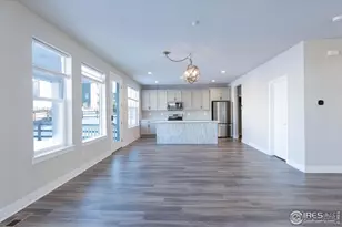 199 Simmental Loop, Castle Rock, CO 80104 - Photo 8