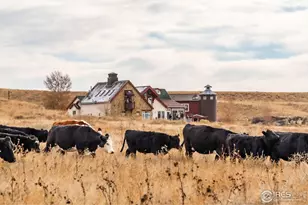 29899 Co Rd 88, Ault, CO 80610 - Photo 10