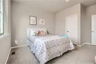 617 Noola St, Windsor, CO 80550 - Photo 18