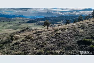 5 Deer Meadow Way, Livermore, CO 80536 - Photo 28