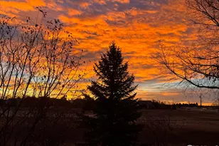 2324 Calais Dr, Longmont, CO 80504 - Photo 36