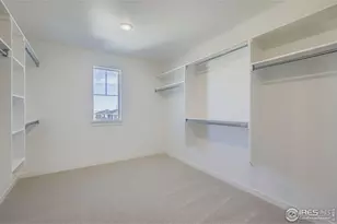 1833 Flourish Dr, Windsor, CO 80550 - Photo 20