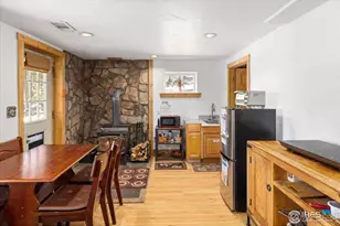 246 Rudi Ln W, Golden, CO 80403 - Photo 20