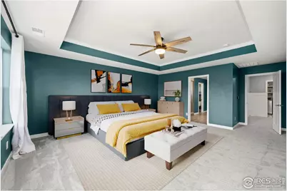 2883 Storm View Ct, Timnath, CO 80547 - Photo 14