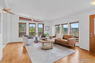 880 Hummer Dr, Nederland, CO 80466 - Photo 6