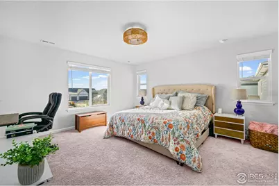 837 Hummocky Way, Windsor, CO 80550 - Photo 20