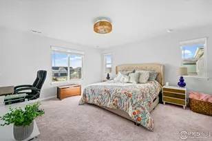 837 Hummocky Wy, Windsor, CO 80550 - Photo 20