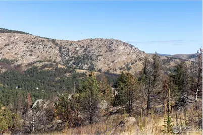 981 Palisade Mountain Dr, Drake, CO 80515 - Photo 8