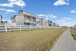 971 Mouflon Dr, Severance, CO 80550 - Photo 34