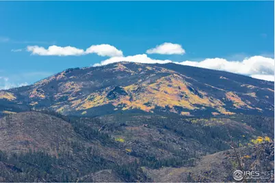 45 Bull Rock Ct, Livermore, CO 80536 - Photo 22