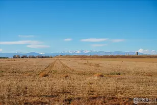 946 Tail Water Dr, Windsor, CO 80550 - Photo 36