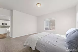 1139 Ibex Dr, Severance, CO 80550 - Photo 20