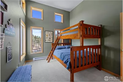 112 Chillicothe Ct, Red Feather Lakes, CO 80545 - Photo 30