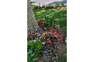 2720 Alan St, Fort Collins, CO 80524 - Photo 36