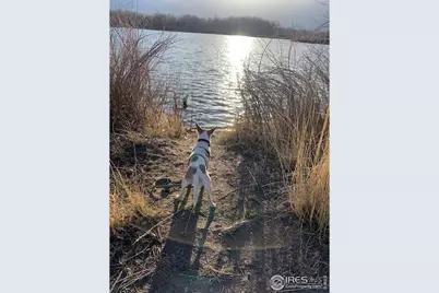 2720 Alan St, Fort Collins, CO 80524 - Photo 44