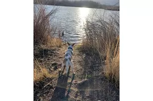 2720 Alan St, Fort Collins, CO 80524 - Photo 44