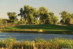 4268 Ardglass Ln, Timnath, CO 80547 - Photo 36