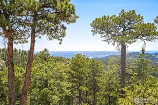 24043 Eagle Cliff Trail, Conifer, CO 80433 - Photo 30