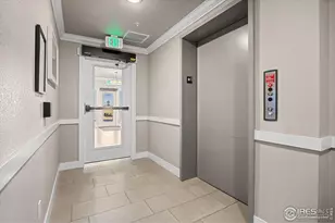 6618 Crystal Downs Dr, Windsor, CO 80550 - Photo 4