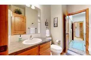 6546 Royal Country Down Dr, Windsor, CO 80550 - Photo 18