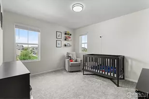 1049 Urial Dr, Severance, CO 80550 - Photo 22