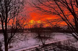 614 Magpie Dr, Loveland, CO 80537 - Photo 32