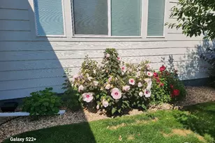 1410 S Sunfield Dr, Milliken, CO 80543 - Photo 26