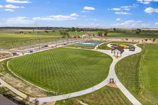 6752 Castello St, Timnath, CO 80547 - Photo 40