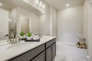 1003 Schlagel St, Fort Collins, CO 80524 - Photo 8