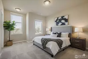 1003 Schlagel St, Fort Collins, CO 80524 - Photo 4