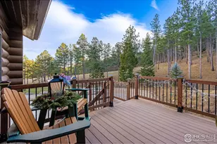 427 Wilderness Ridge Way, Bellvue, CO 80512 - Photo 10