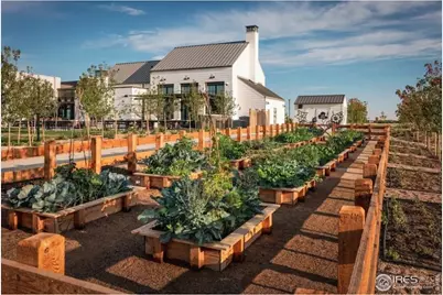 2730 Blue Iris Dr, Loveland, CO 80538 - Photo 8