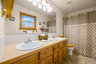 3724 Wine Cup St, Wellington, CO 80549 - Photo 20