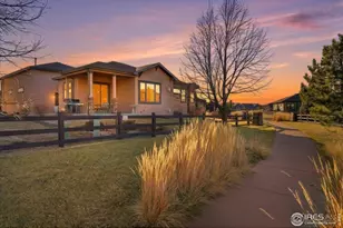 973 Skipping Stone Ct, Timnath, CO 80547 - Photo 38