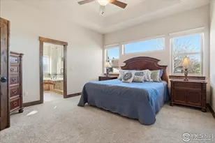 973 Skipping Stone Ct, Timnath, CO 80547 - Photo 20