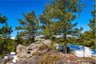815 Cougar Run, Nederland, CO 80466 - Photo 16