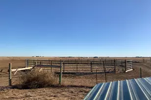 16498 County Rd 100, Nunn, CO 80648 - Photo 36
