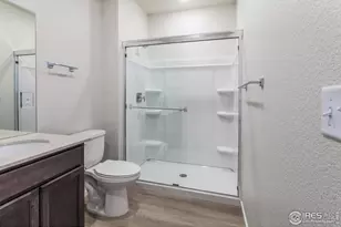 2120 Falling Leaf Dr, Windsor, CO 80550 - Photo 28