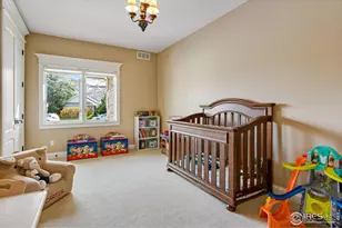 1030 Harbor Walk Ct, Fort Collins, CO 80525 - Photo 42