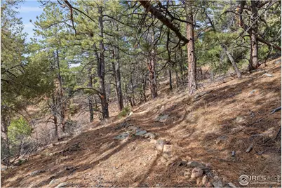 5771 Obenchain Rd, Laporte, CO 80535 - Photo 22