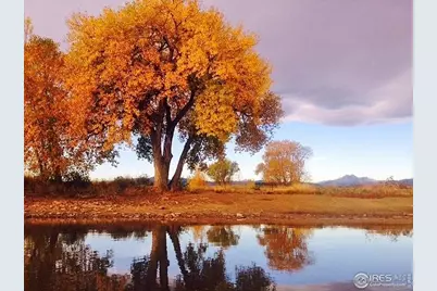 2961 Sonata Bay Ct, Longmont, CO 80503 - Photo 28
