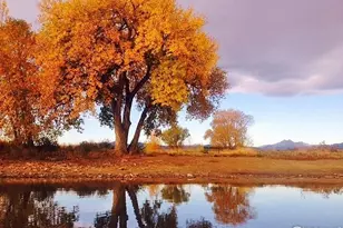 2961 Sonata Bay Ct, Longmont, CO 80503 - Photo 28