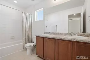 1617 Northcroft Dr, Windsor, CO 80550 - Photo 22