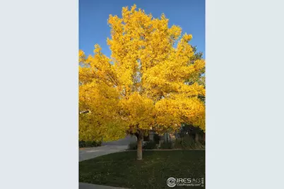 11392 Ebony St, Firestone, CO 80504 - Photo 2